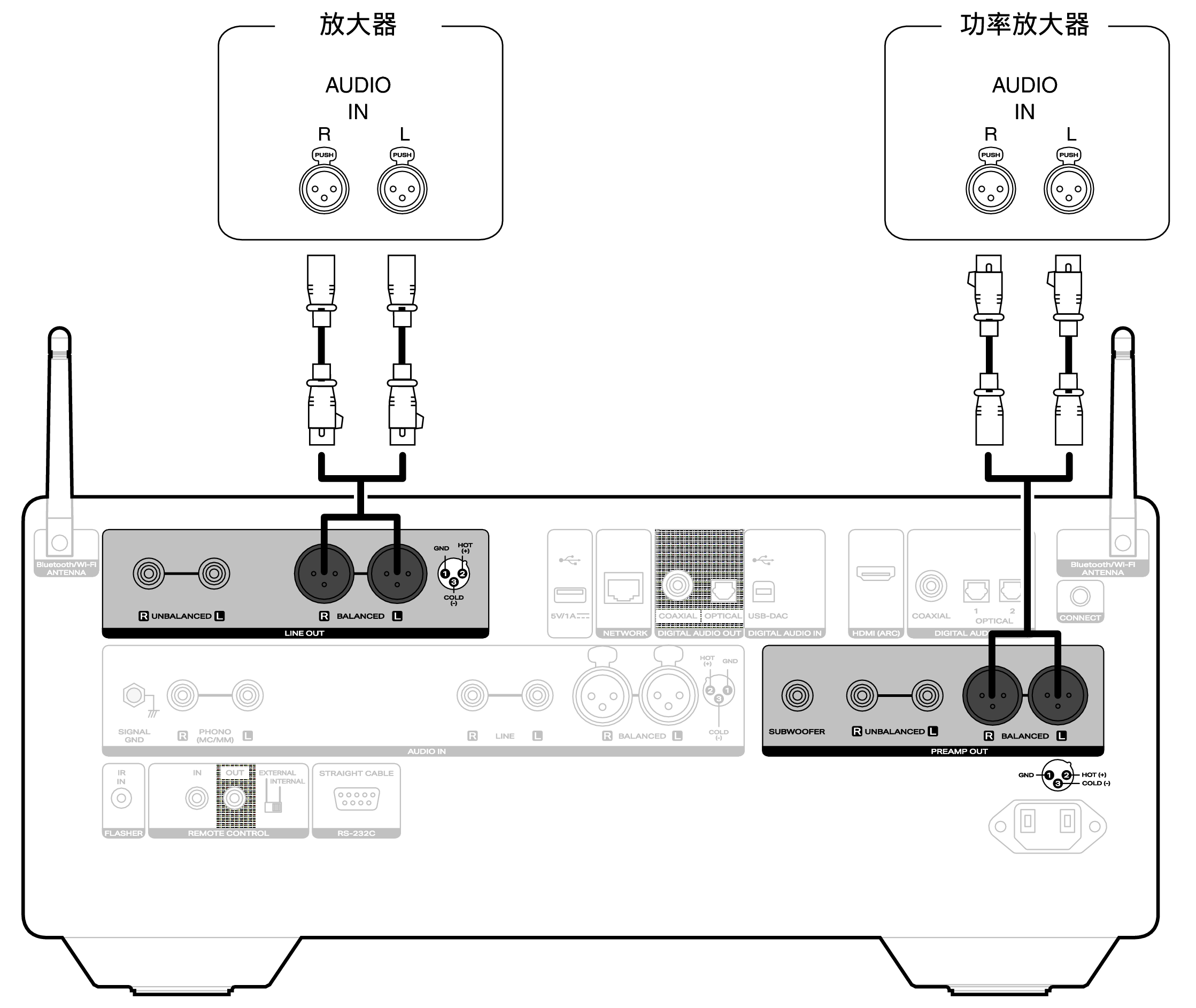 Conne amp XLR LINK10n